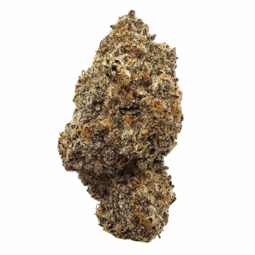 Black Sherbet USA Grown Flower in UK