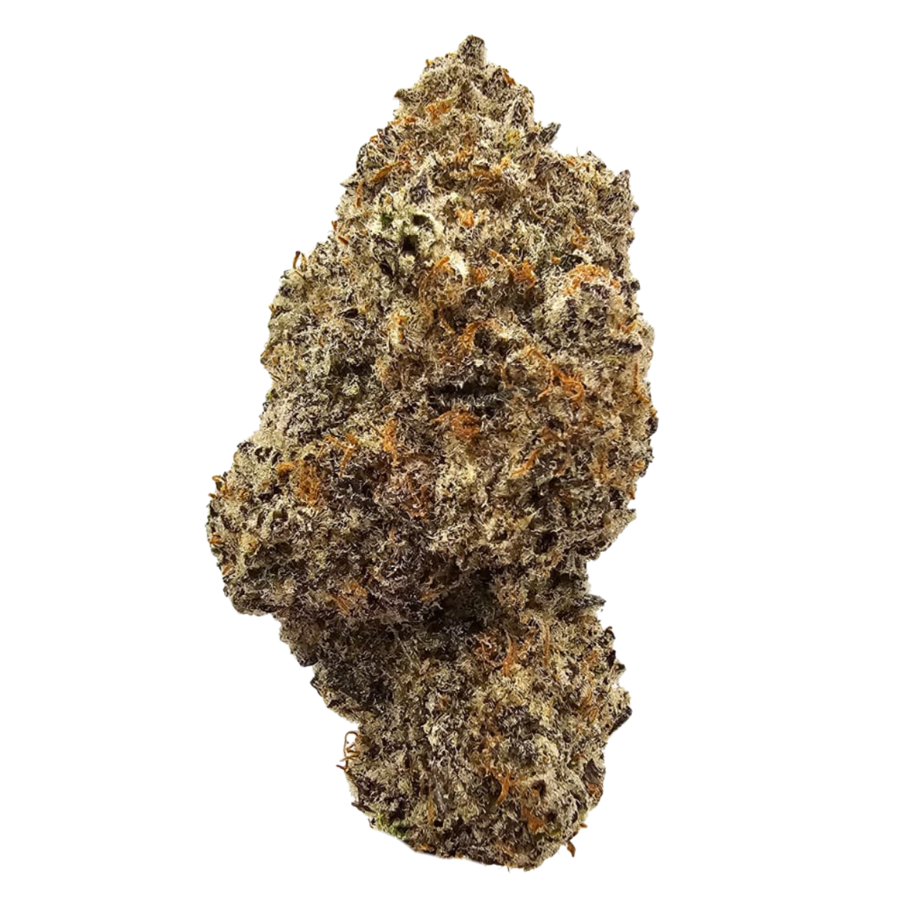 Black Sherbet USA Grown Flower in UK