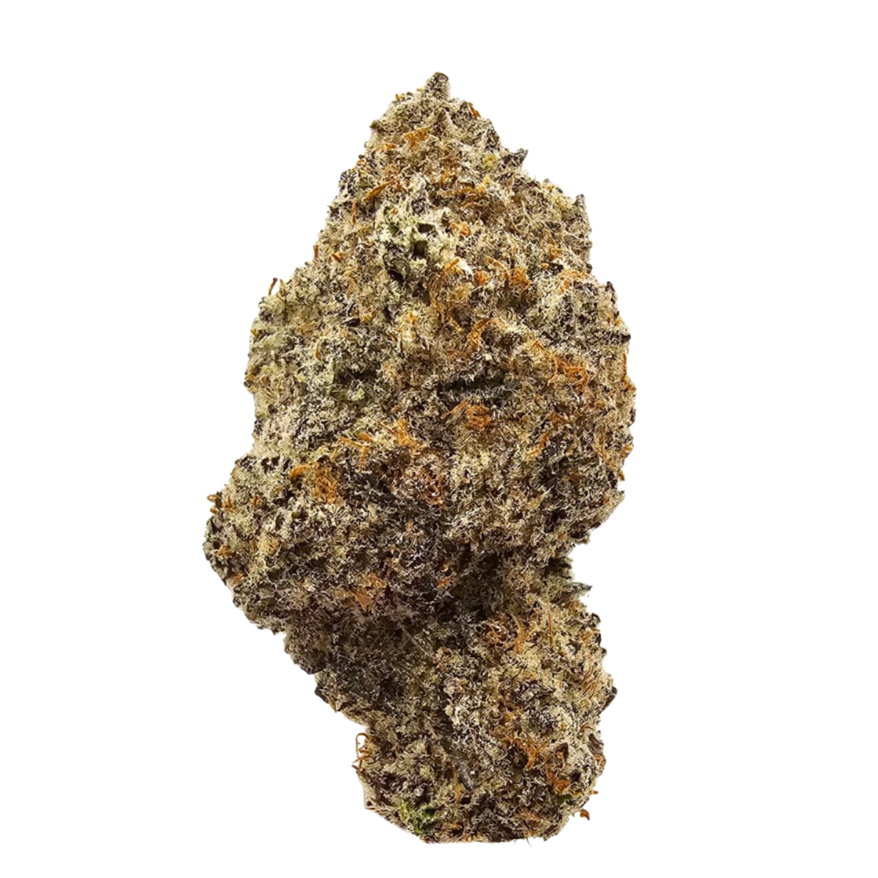 Black Sherbet USA Grown Flower in UK