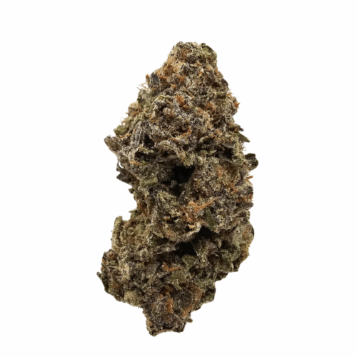 Banana Kush THCA Flower USA Grown in UK