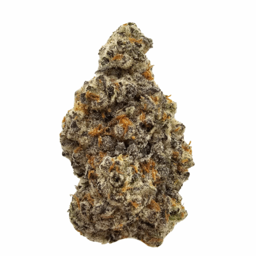 Raspberry Diesel USA Grown THCA Flower in the UK