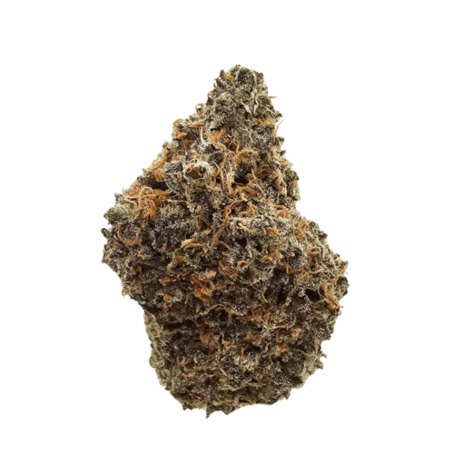 Black Maple THCA Flower USA Grown in UK