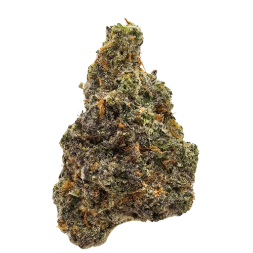 GMO Sherbert USA flower THCA in the UK