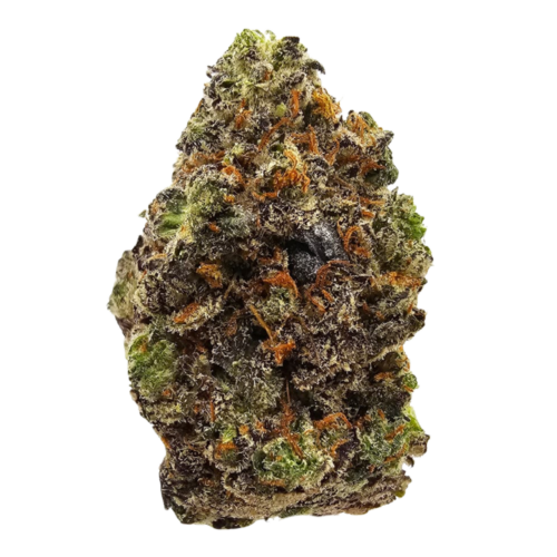 Headband USA Grown THCA Flower in the UK