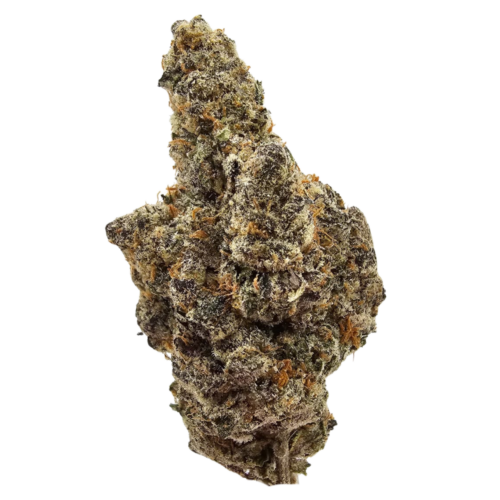 Gas Burzst THCA Flower USA Grown in the UK