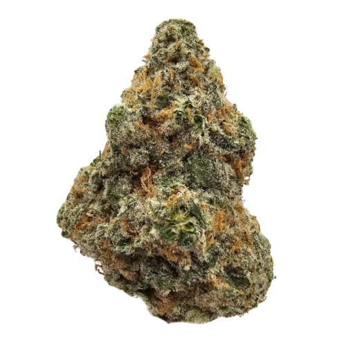 Orange Apricot THCA Flower Grown in the USA in the UK