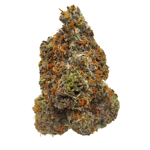 Sherbanger USA Grown Strain THCA Flower