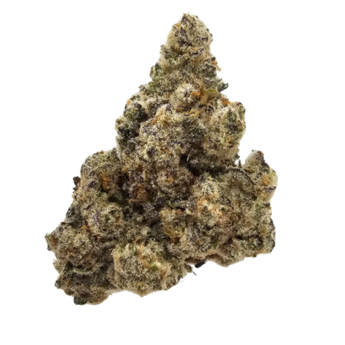 London Lobster USA Grown Strain THCA in the UK