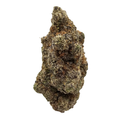 Sweet Lime Slice USA Grown Flower in the UK