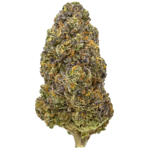 Blue Nerdz THCA Strain grown in the USA