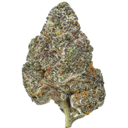 Permanent Pineapple THCA Grown USA Flower