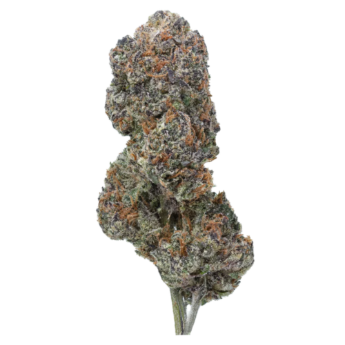 San Fernando Valley USA Grown THCA Flower