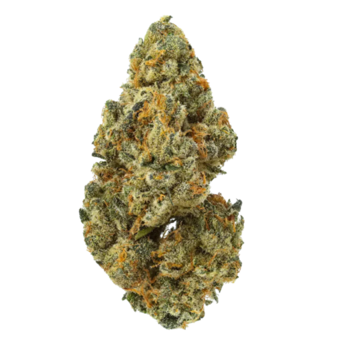 Watermelon Pines Type 2 Flower USA Grown