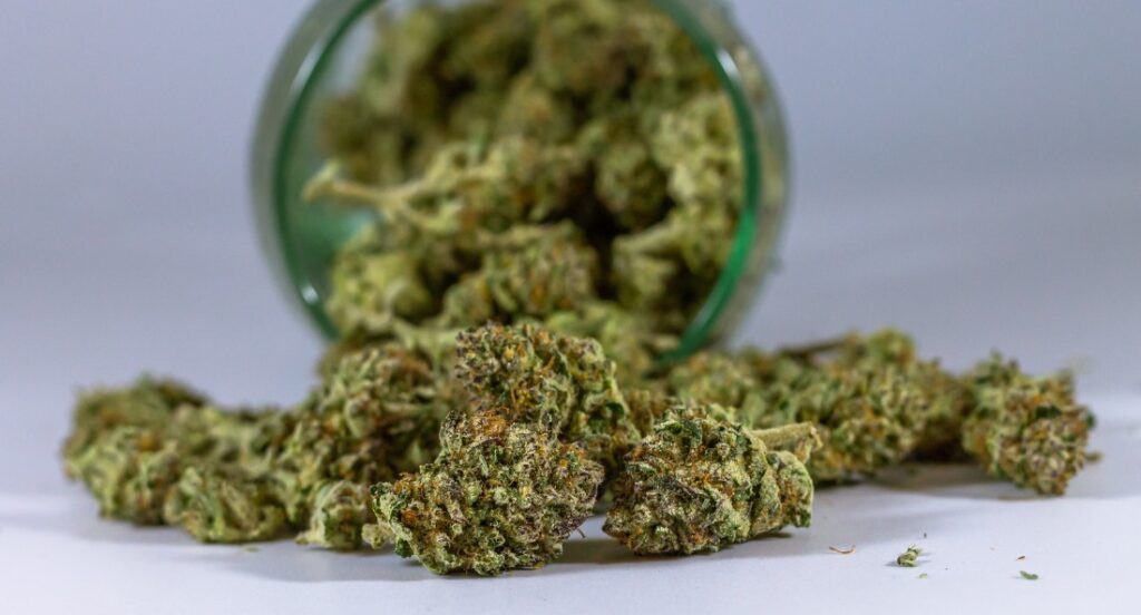 hemp flower buds spilling out a glass jar