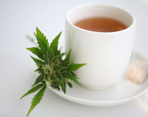 white mug of herbal hemp tea with a hemp leaf on the saucer