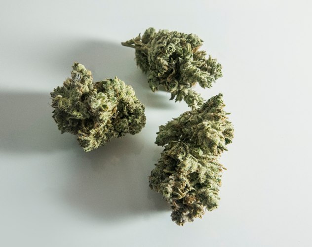 three thca flower buds on white surface