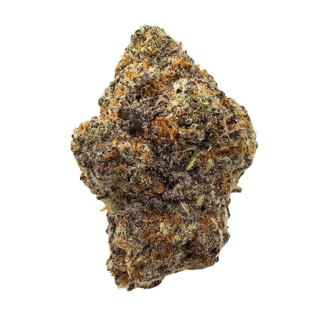 Sour Apricot THCA Flower USA Grown