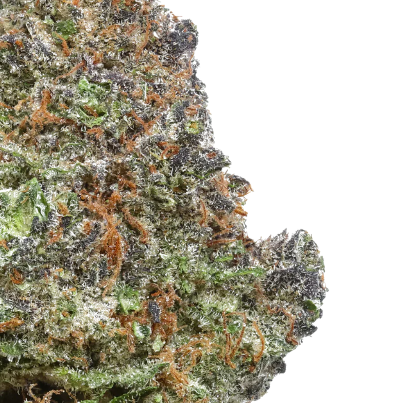 Snow Cone THCA Flower USA Grown