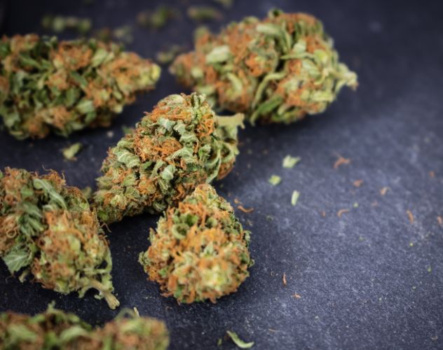 cbd flower buds