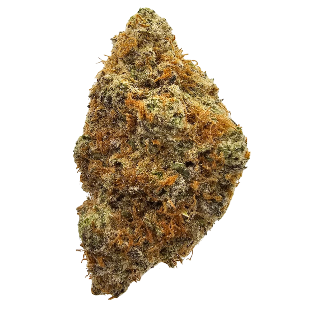 Banana Cooler THCA Strain USA Grown