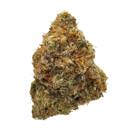 Banana Cooler THCA Strain USA Grown