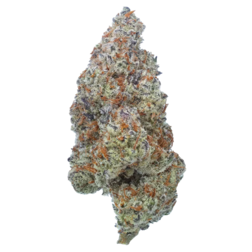 Plasma Fruit THCA Strain USA Grown Flow Gardens