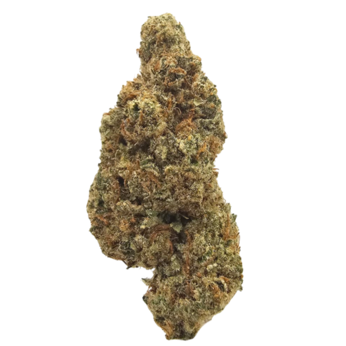 Orange Tree THC Strain USA Grown