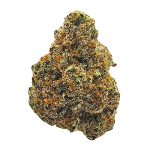 Blue Lobster THCA USA Strain in the UK