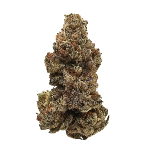 Banana Sherbet USA Grown Flower