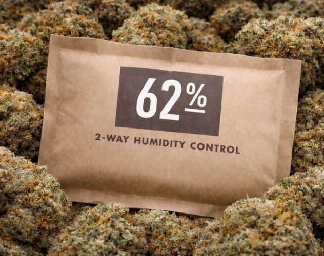 62% humidity pack surrounded by hemp flower buds