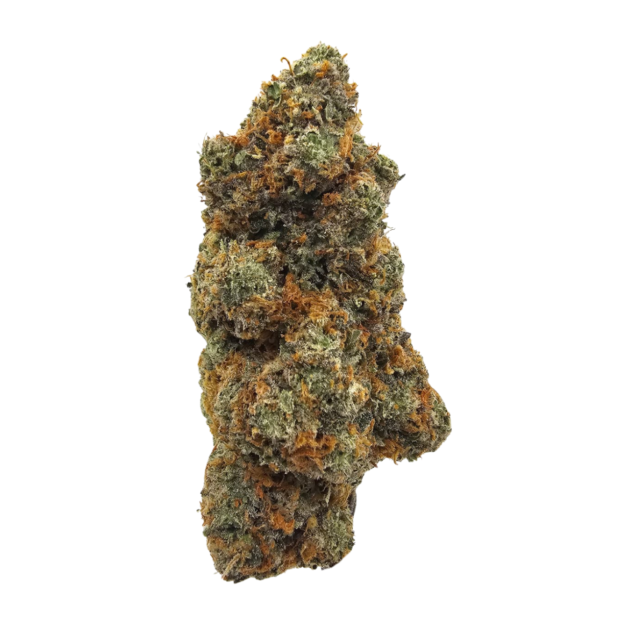 Banana Cream Pie USA THCA Strain
