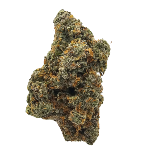 Banana Cream Pie USA THCA Strain
