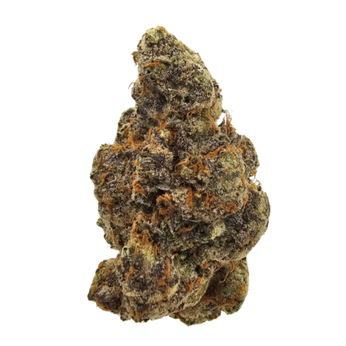 Blueberry Gumbo THCA Strain USA grown in the UK