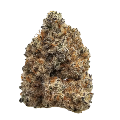 Lemon Cherry Cookies USA THCA Strain Flowers and Buds