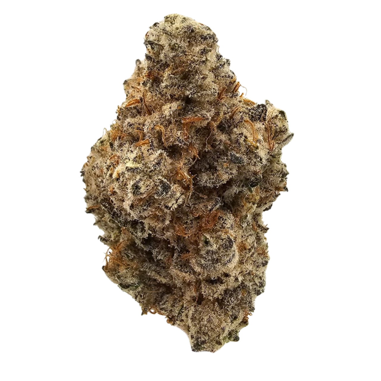 Lemon Cherry Cookies USA THCA Strain Flowers and Buds