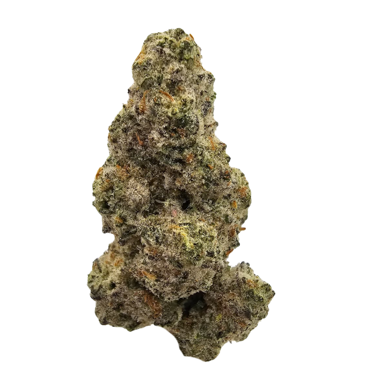 Vegas Snow THCA Strain grown in the USA