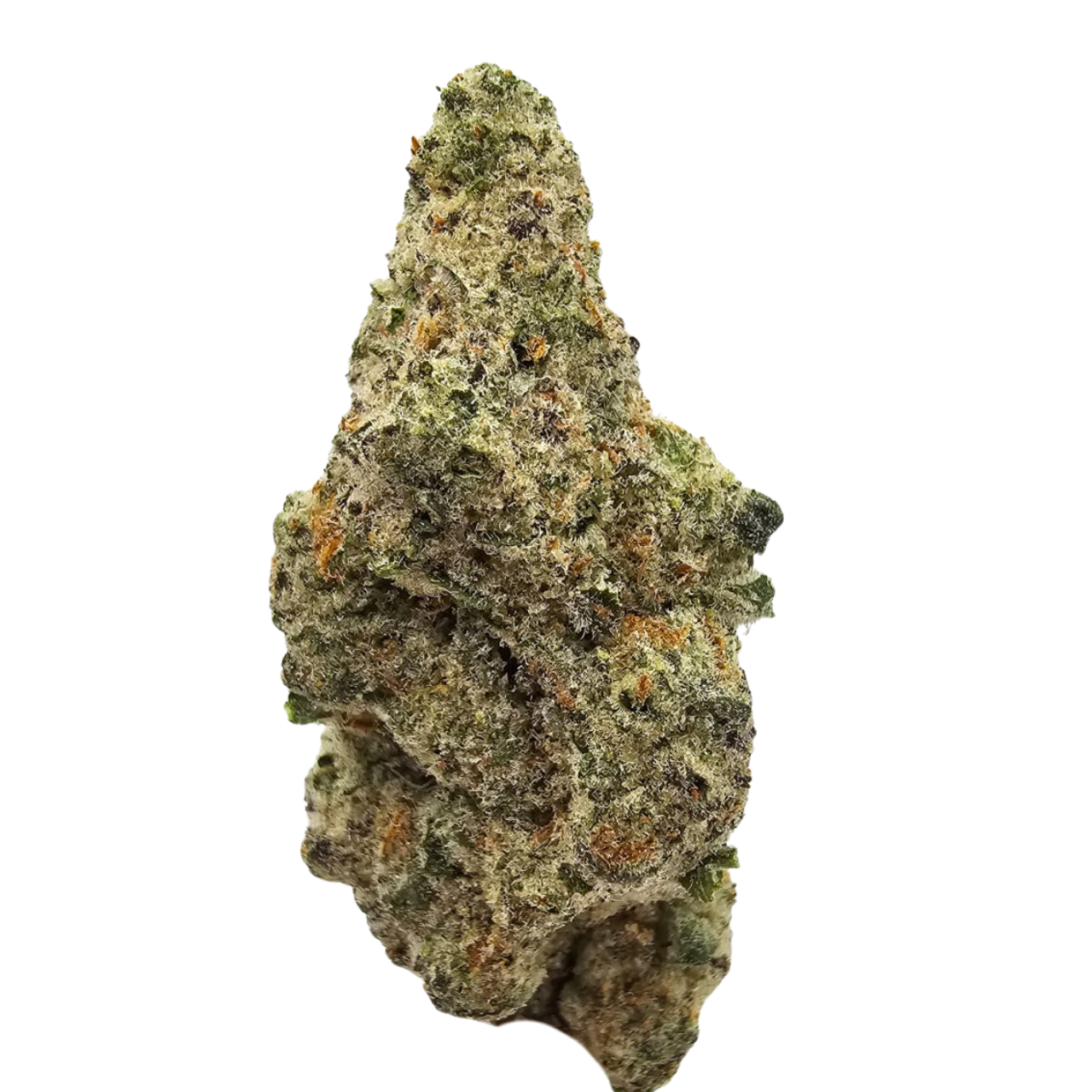 Vegas Snow THCA Strain grown in the USA