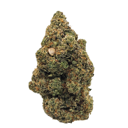 Gas Face THCA USA Strain