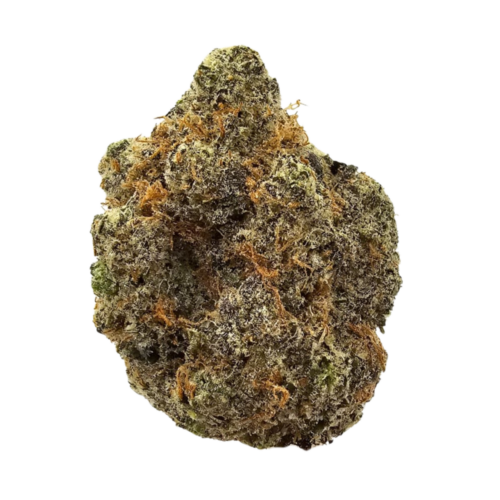 Pineapples in Space THCA USA Grown Strain