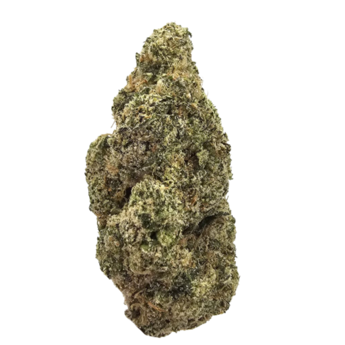 Dank Sinatra THCA Strain grown in the USA