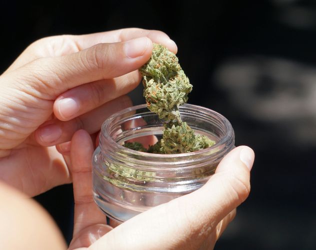 person picking thca flower buds out of jar