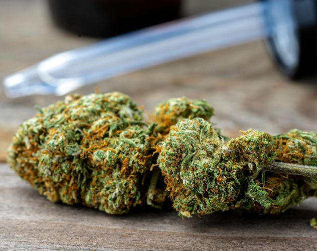 thca flower buds with orange hairs