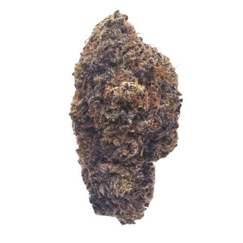 Gazzurple
