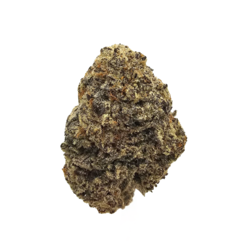 Lava Cake