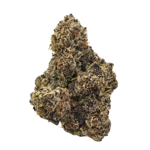 Blue Lobster THCA Strain USA Grown