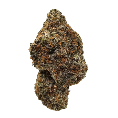 Blueberry Sherbet THCA Strain USA Grown