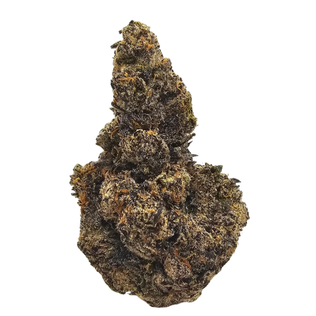 Zangria THCA Strain USA Buds