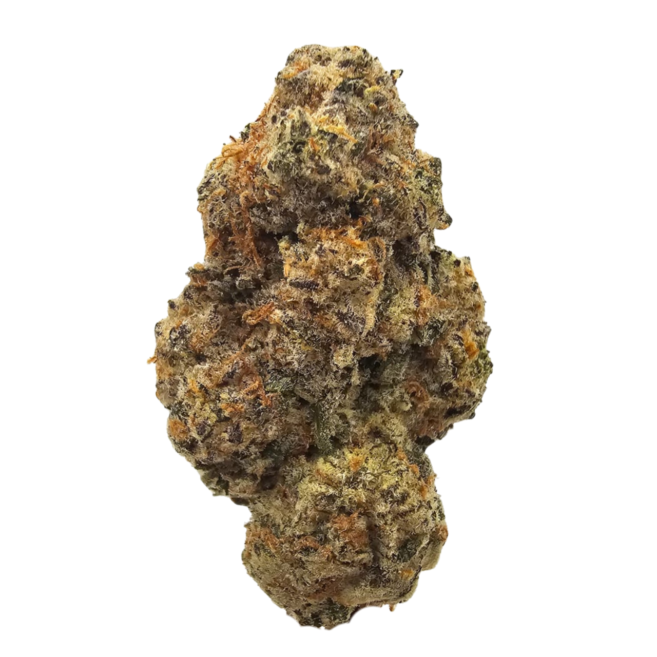 Astro Cake THCA USA Strain Flowers & Buds