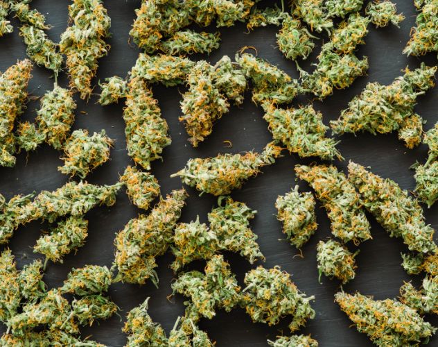 selection of thca flower buds on a black background