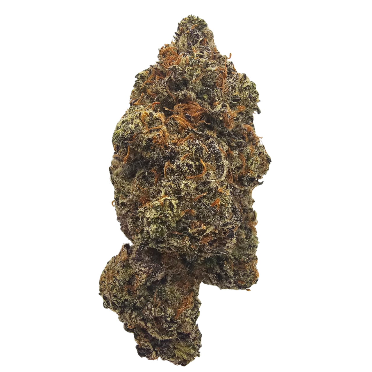 Premium Black Cherry Gelato THCA Tea Flower featuring dense, trichome-coated flowers with rich notes of black cherry, juicy berries, creamy vanilla and subtle earthy gas, expertly grown for exceptional aroma and flavour.